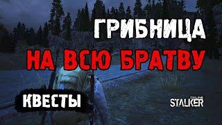 Квест "Грибница на всю братву". Выживаю на СПБ сервере в Сталкер Онлайн.