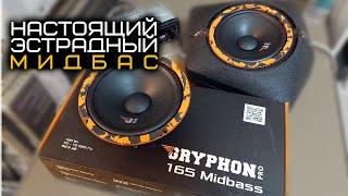 НАСТОЯЩИЙ ЭСТРАДНЫЙ МИДБАС DL AUDIO GRYPHON PRO 165 MIDBASS | ПРОСЛУШКА