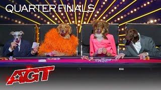 Canine Stars Bring Their Best Dog Performance to AGT! - America's Got Talent 2021