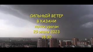 Почти ураган в Казани 29 июля. Сильный ветер.  Непогода в Казани. Помидор Буратино. Груши поспели.