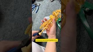 Cutting jewelry from the golden tree #gold #goldfactory #jewelry