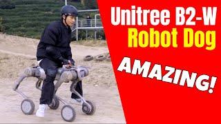 Unitree B2 W Robot Dog