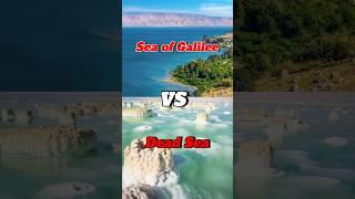 What Makes the DEAD SEA So DIFFERENT?  #bible