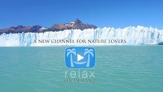 [OFFICIAL] Nature Relaxation On Demand TV + Apps Trailer | #1 For Nature Lovers