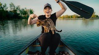 HOW TO TRAIN AN ADVENTURE KITTY || WILL a BENGAL CAT like a CANOE?!!