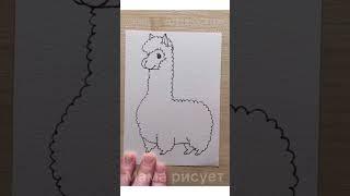 Alpaca Drawing #shorts #alpaca