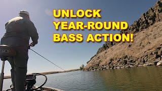 Follow Bass To Transition Banks | Bass Fishing