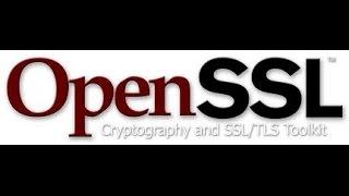 How to set the path for OpenSSL in Windows