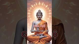 Giác Ngộ; #Phật Dạy Mỗi Ngày: #loiphatday #phatphap #baihoccuocsong