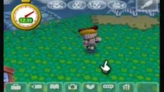 Animal Crossing:City Folk-Hide and Seek