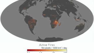 The Global Pulse of Fire