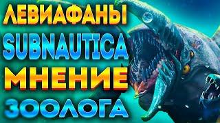 ЛЕВИАФАНЫ SUBNAUTICA РЕАЛЬНЫ?! МНЕНИЕ ЗООЛОГА