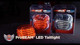 How To Install ProBEAM LED Tail Light for Harley Davidson Motorcycles 