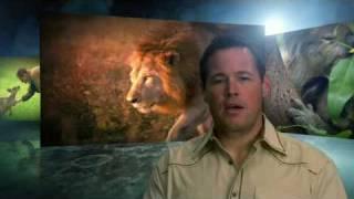 Spot - Animal Planet "ROAR"