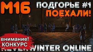 М16. ОБЗОР КАМПАНИИ. Подгорье #1 - Поехали! Neverwinter Online