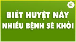 CHỈ MỘT HUYỆT MÀ CHỮA RẤT NHIỀU BỆNH Đau Đầu Viêm Mũi Viêm Họng Đau Bụng | TCL