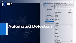 Automated Detection & Analysis of Exocytosis l Protocol Preview