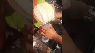 Coconut: The Most Versatile Food on Earth