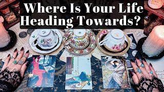 Where Is Your Life Heading Towards? COFFEE & TAROT Pick a Card Reading