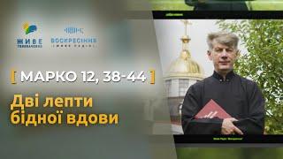 Дві лепти бідної вдови. Марко 12, 38-44 | о. Євген Станішевський