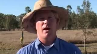 Multiplanter testimonial - Ivan Price