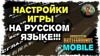 НАСТРОЙКИ НА РУССКОМ! PUBG MOBILE в переводе Evgen GoUp!