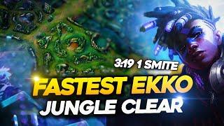 FASTEST EKKO JUNGLE CLEAR S14 (3:14 - NO LEASH)