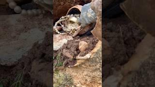 Ancient treasure with metal detector #treasurehunt #treasuresearch #treasureadventurehunters