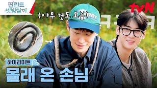 Why is there a snake on Lee Je-hoon's shoulder?  #RentedInFinland