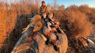 Duck Hunting Late Season DIVER DUCKS (INSANE MIXED BAG!)