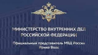 Ирина Волк: В Подольске полицейские задержали подозреваемого в мошенничестве в отношении ребенка