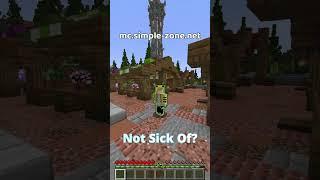 Join Our Minecraft Server, Please