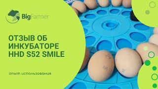 Отзыв об использовании инкубатора HHD S52 Smile