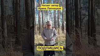 О стихах. Ирина Липницкая.
