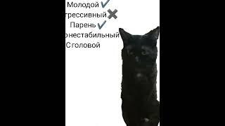 извини кот если ты это смотришь#мем #привет #пожалуйста #котлеты