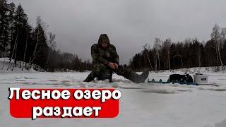 Рыбалка в декабре в оттепель! Кивок, поплавок, жерлицы! Зимняя рыбалка 2023-2024