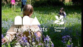 The making of Wild Imagination (2024) by Sarah Taylor Silverwood | National Trust Croome Court