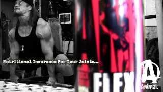 Animal Flex: Insurance For Your Joints