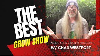 Organic vs Synthetic, Purple Stems, Deficiencies - Prof. DeBacco w/ Chad Westport : Spider Farmer