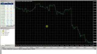 Выделять определенный час Metatrader