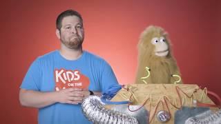 PUPPETS: JESUS HEALS JAIRUS' DAUGHTER BIBLE STORY | Kids on the Move