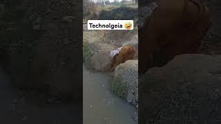 former technolgeia village vibes #funny