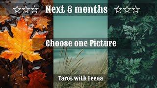 Coffee cup reading : Next 6 months  | Pick an Image | Tarot with Leena