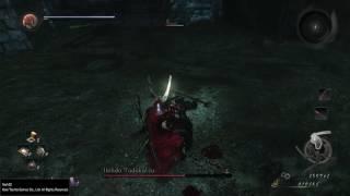 Nioh - Honda Tadakatsu - Spearfall Edition (Perfect)