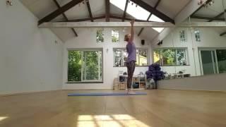 Full Sun Salutation Sequence - Yogasana Surya Namaskar