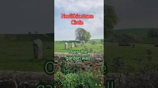 Surprising what you find over the garden wall! #garden #gardening #ancient