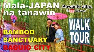 Mala-Japan na Tanawin | Bamboo Sanctuary | Baguio City