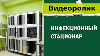 Инфекционный стационар в ветеринарной клинике - зачем он необходим и как устроен.