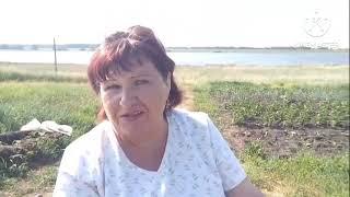 В больнице вымотали все нервы/что нам сказали до смешного/про огород
