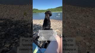 #онкология #рак #онкологияпобедима #онкологиянеприговор #лимфома